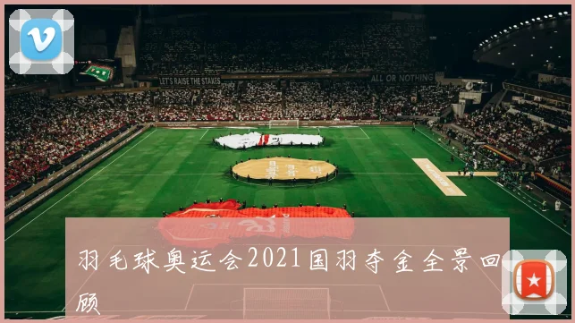 羽毛球奥运会2021国羽夺金全景回顾