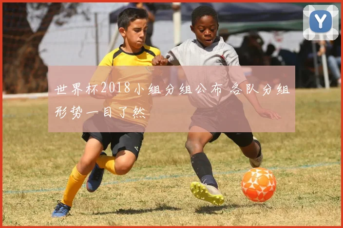 世界杯2018小组分组公布 各队分组形势一目了然