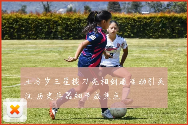 土方岁三星棱刀亮相剑道活动引关注 历史兵器细节成焦点