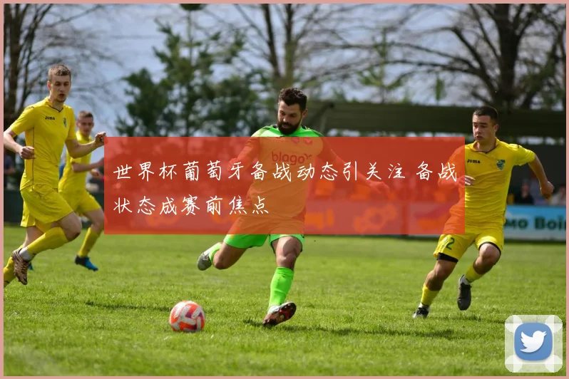 世界杯葡萄牙备战动态引关注 备战状态成赛前焦点