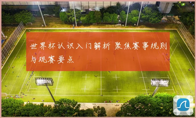 世界杯认识入门解析 聚焦赛事规则与观赛要点