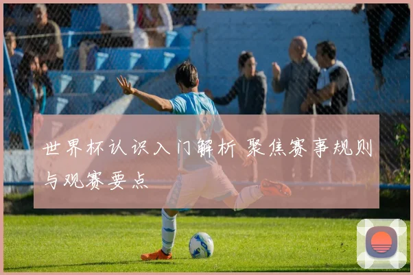 世界杯认识入门解析 聚焦赛事规则与观赛要点