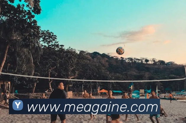 人人体育app官网入口登录服务体系